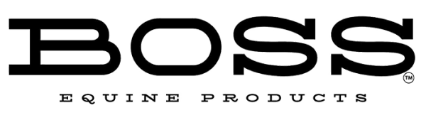 Boss logo